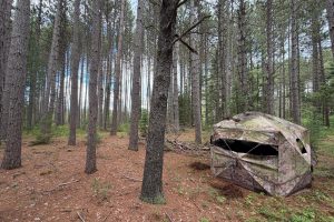 5566 Mcnaughton Ln, , Lake Tomahawk,  WI 54539