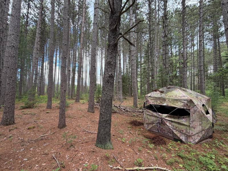 5566 Mcnaughton Ln, , Lake Tomahawk,  WI 54539