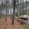 5566 Mcnaughton Ln, , Lake Tomahawk,  WI 54539