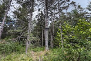 5566 Mcnaughton Ln, , Lake Tomahawk,  WI 54539