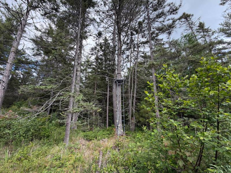 5566 Mcnaughton Ln, , Lake Tomahawk,  WI 54539