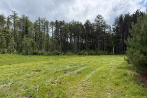 5566 Mcnaughton Ln, , Lake Tomahawk,  WI 54539