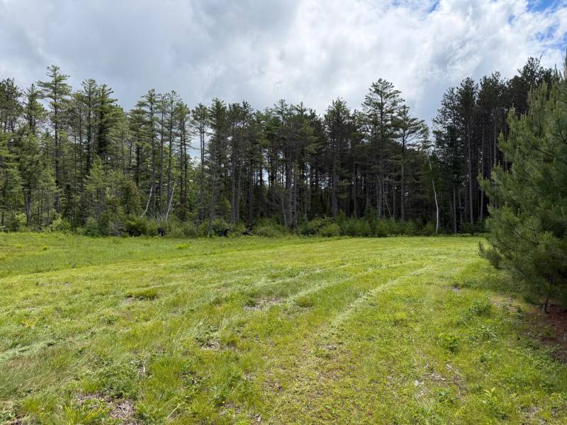 5566 Mcnaughton Ln, , Lake Tomahawk,  WI 54539