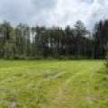 5566 Mcnaughton Ln, , Lake Tomahawk,  WI 54539