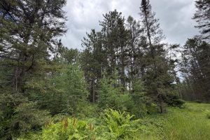 5566 Mcnaughton Ln, , Lake Tomahawk,  WI 54539