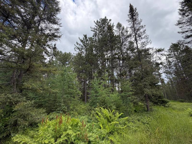 5566 Mcnaughton Ln, , Lake Tomahawk,  WI 54539