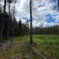5566 Mcnaughton Ln, , Lake Tomahawk,  WI 54539