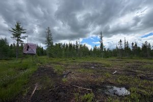 5566 Mcnaughton Ln, , Lake Tomahawk,  WI 54539
