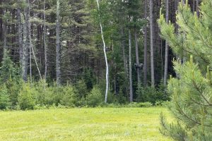 5566 Mcnaughton Ln, , Lake Tomahawk,  WI 54539