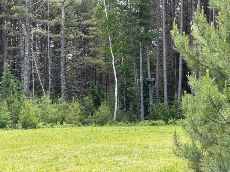 5566 Mcnaughton Ln, , Lake Tomahawk,  WI 54539