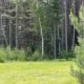 5566 Mcnaughton Ln, , Lake Tomahawk,  WI 54539