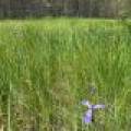 5566 Mcnaughton Ln, , Lake Tomahawk,  WI 54539