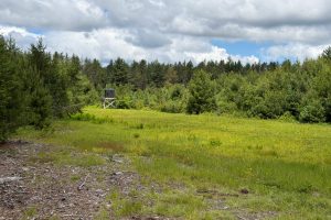 5566 Mcnaughton Ln, , Lake Tomahawk,  WI 54539
