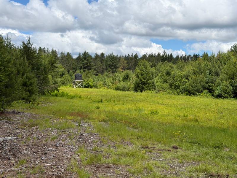 5566 Mcnaughton Ln, , Lake Tomahawk,  WI 54539
