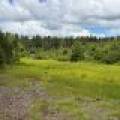 5566 Mcnaughton Ln, , Lake Tomahawk,  WI 54539