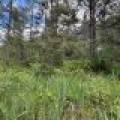 5566 Mcnaughton Ln, , Lake Tomahawk,  WI 54539