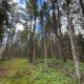5566 Mcnaughton Ln, , Lake Tomahawk,  WI 54539