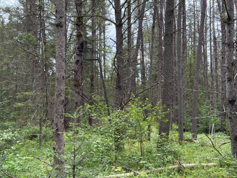 5566 Mcnaughton Ln, , Lake Tomahawk,  WI 54539