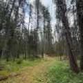 5566 Mcnaughton Ln, , Lake Tomahawk,  WI 54539