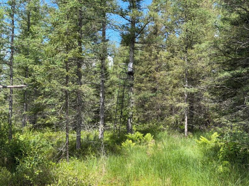 5566 Mcnaughton Ln, , Lake Tomahawk,  WI 54539