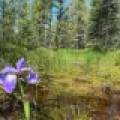 5566 Mcnaughton Ln, , Lake Tomahawk,  WI 54539