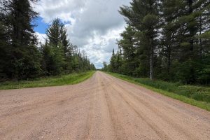 5566 Mcnaughton Ln, , Lake Tomahawk,  WI 54539