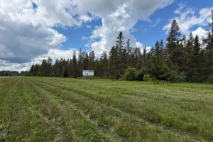 5566 Mcnaughton Ln, , Lake Tomahawk,  WI 54539