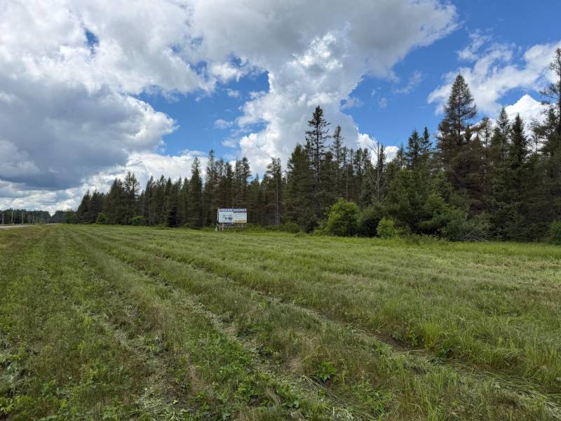5566 Mcnaughton Ln, , Lake Tomahawk,  WI 54539