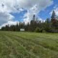 5566 Mcnaughton Ln, , Lake Tomahawk,  WI 54539