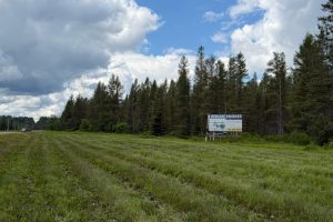 5566 Mcnaughton Ln, , Lake Tomahawk,  WI 54539