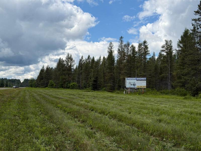 5566 Mcnaughton Ln, , Lake Tomahawk,  WI 54539