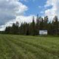 5566 Mcnaughton Ln, , Lake Tomahawk,  WI 54539