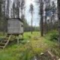 5566 Mcnaughton Ln, , Lake Tomahawk,  WI 54539