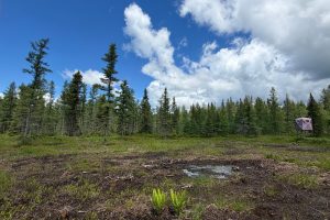 5566 Mcnaughton Ln, , Lake Tomahawk,  WI 54539
