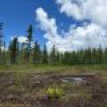 5566 Mcnaughton Ln, , Lake Tomahawk,  WI 54539
