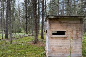 5566 Mcnaughton Ln, , Lake Tomahawk,  WI 54539