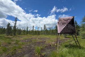 5566 Mcnaughton Ln, , Lake Tomahawk,  WI 54539