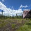 5566 Mcnaughton Ln, , Lake Tomahawk,  WI 54539