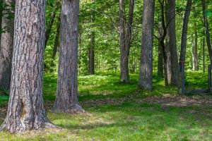 6048 Zeman Rd, , Eagle River,  WI 54521