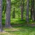6048 Zeman Rd, , Eagle River,  WI 54521