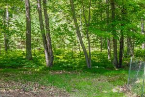 6048 Zeman Rd, , Eagle River,  WI 54521