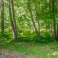 6048 Zeman Rd, , Eagle River,  WI 54521