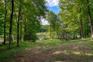 6274N Bambiland Rd, , Mercer,  WI 54547