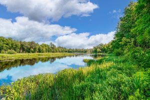6274N Bambiland Rd, , Mercer,  WI 54547