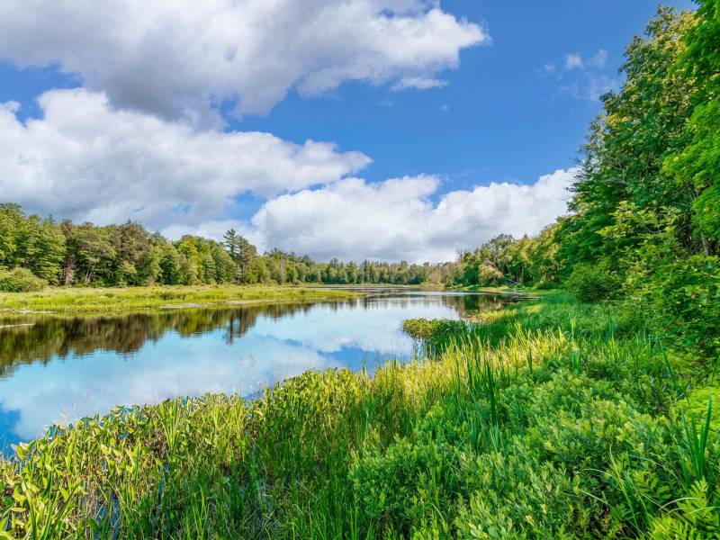 6274N Bambiland Rd, , Mercer,  WI 54547