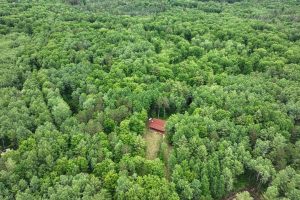 6386 Raven Ln, , Hazelhurst,  WI 54531