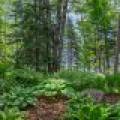 8108 Waldner Dr, , Presque Isle,  WI 54557 USA