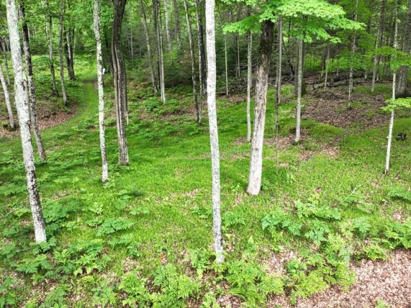 8174 Maplewood Dr, , St. Germain,  WI 54558 USA