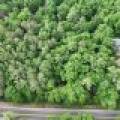 8174 Maplewood Dr, , St. Germain,  WI 54558 USA