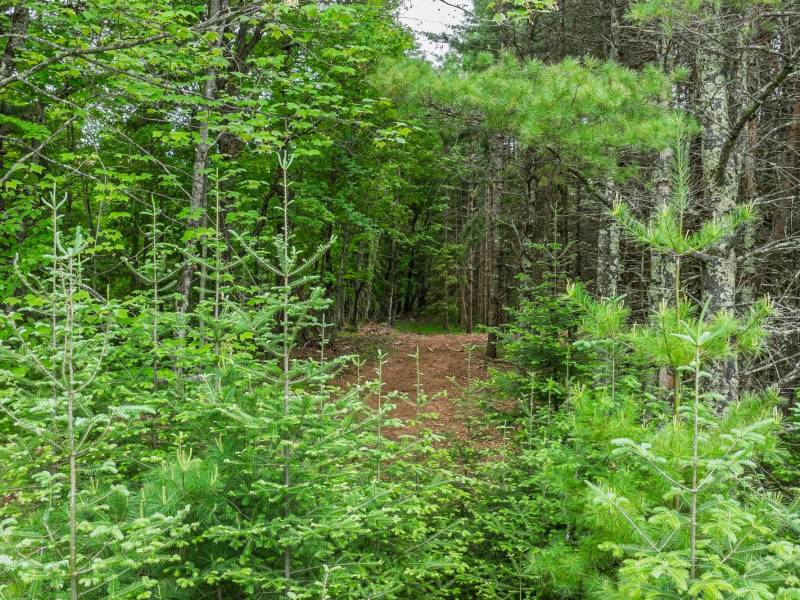 Lot 3 Off Church Rd, , Conover,  WI 54519